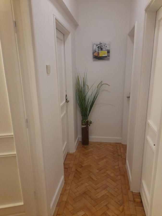 Cozy Central 3 Bedrooms Bragas Porto Ngoại thất bức ảnh